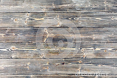 Close-up texture pine wood Stock Photo