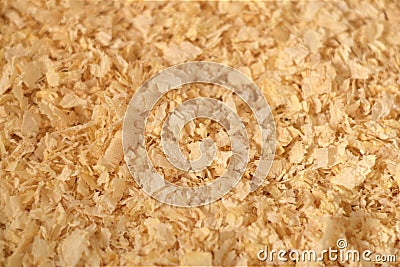 Close up texture of pine wood shavings Stock Photo
