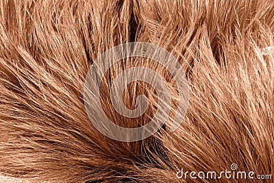 Close-up of textured grass in peach fuzz color. Color of year 2024 - Peach Fuzz. Stock Photo