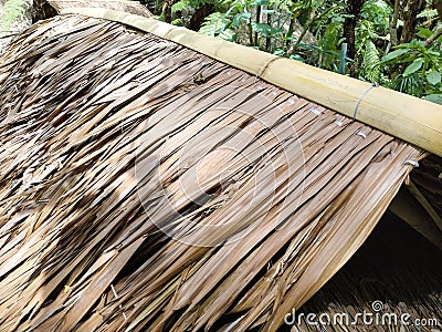 A close-up of a thatched roof in a hut Stock Photo