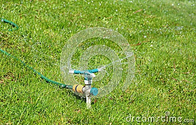 A close-up on a three arm garden sprinkler, rotating garden sprinkler system with a hose watering a grass lawn Stock Photo