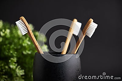 Close up of three bamboo toothbrushes in a black glass with plant Stock Photo
