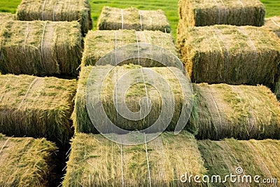 close up of tightly bundled hay bales Stock Photo