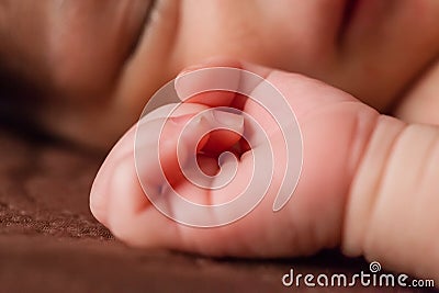 Close up of a tiny hand of a two weeks old newborn baby girl Stock Photo