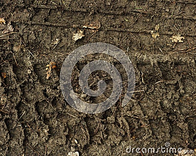 Close-up of tire imprint in wet sand. Stock Photo