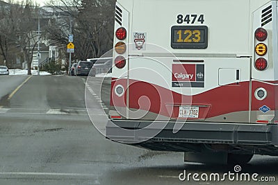 A close up to the back part of a Calgary Transit bus Editorial Stock Photo