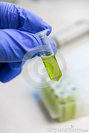 Close up to hands in blue gloves hold microtube with green liquid extract. Synthesis of new vaccine or drug against virus. Stock Photo
