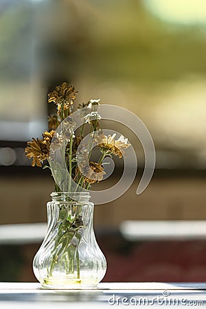 Close up to witherd flowers in a glass vase. (Window light and v Stock Photo