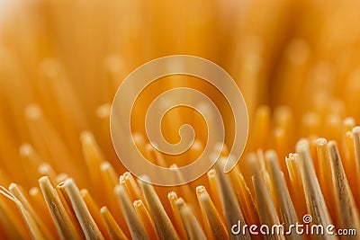 Close up Toothpick Stock Photo