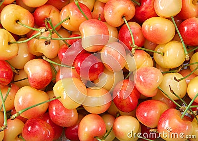 Close up top view of Rainier cherries with stems Stock Photo