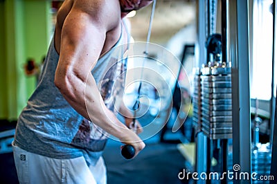 Close-up of triceps of an athletic, muscular man Stock Photo