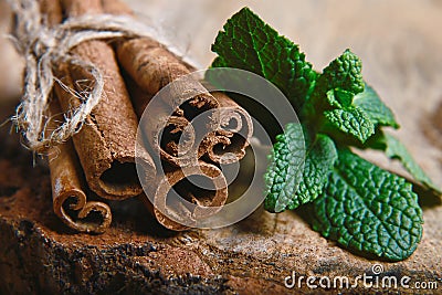 Close-up twisted sticks of cinnamon bundle, green leaves of fresh mint, selective focus, marco, set Stock Photo