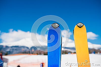 Close up of two pair of skis Stock Photo
