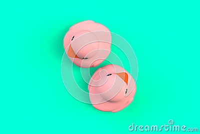 Close up of two pink rubber ducks isolated. Bath toys on a green background. Top view with copy space. Summer wallpaper. Stock Photo