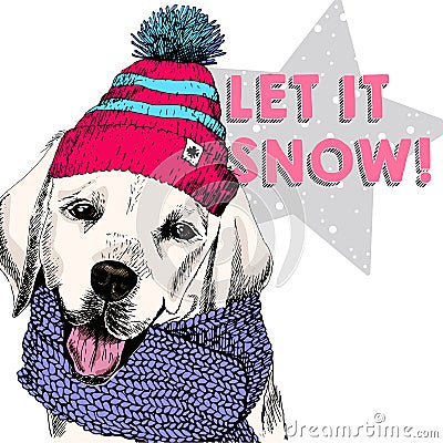 Close up vector portrait of Labrador retriever dog wearing beanie and scarf. Ski mode mood. Skecthed colored illustraion Vector Illustration