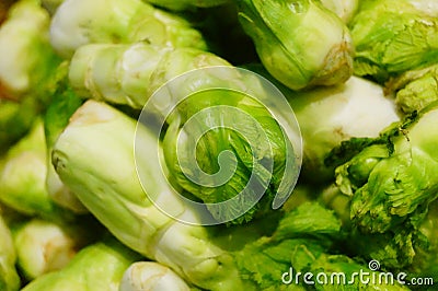 Close up of vegetable roots. A pile of vegetable roots, very fresh. Stock Photo