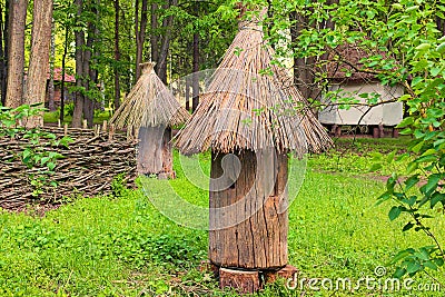 Close-up view of an ancient bee hive. It made from a trunk of old tree with a thatched roof. Stock Photo