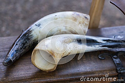 animal drinking horn Stock Photo