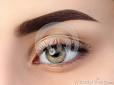 Close up view of beautiful brown female eye Stock Photo