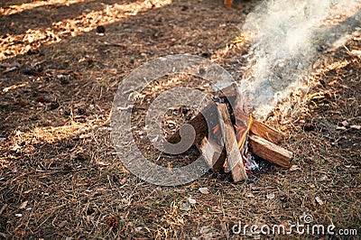 Close up view of bonfire on the ground outdoors Stock Photo