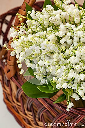 Close-up view of Bouquet of lilies of the valley in a basket Stock Photo