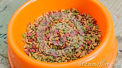 Close up view of cat diet food in a orange bowl Stock Photo