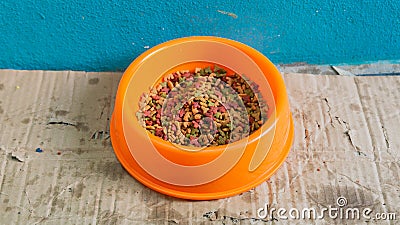 Close up view of cat diet food in a orange bowl Stock Photo