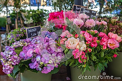 Close up view of chalk board with lettering, hortensia and peonies in buckets Stock Photo