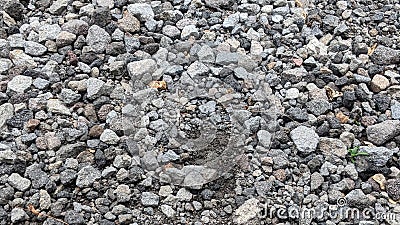 A close-up view of a collection of small, gray rocks. With some appearing more rounded and others more angular. Stock Photo
