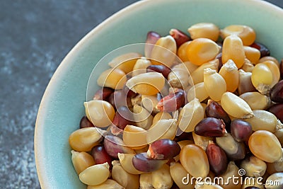 Colorful Popcorn Seeds in a Bowl Stock Photo