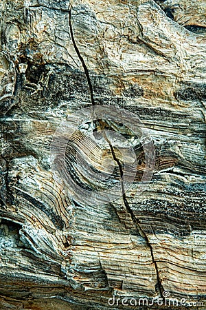 A close up view of a crack in a piece of petrified wood Stock Photo