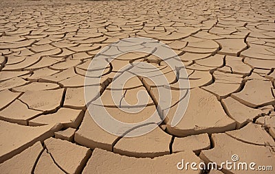 Dry cracked earth Stock Photo