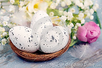 Close up view of easter eggs in a nest. Spring flowers and feathers over blue rustic wood background. Stock Photo