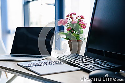 close up view of empty textbook, laptop, flowers in pot, computer, computer keyboard and computer mouse Stock Photo