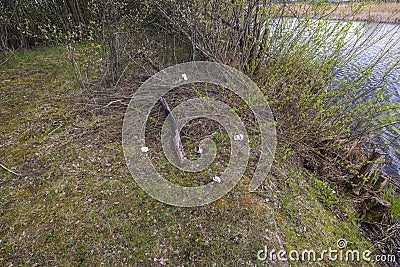 Close up view of environmental pollution by people after outdoor recreation near lake. Stock Photo