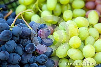 Close up view of grapes A lot of ripe grapes. The texture of the berries as a background. Winery grape variety wine production. Stock Photo