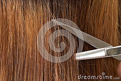 Close up view of hairdresser scissors cutting hair Stock Photo