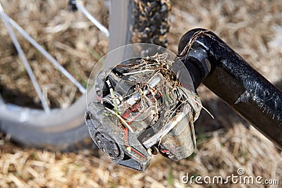 Dirty bicycle pedal in close-up view Stock Photo