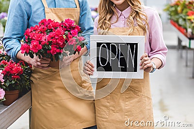 Close-up view of Open board in hands Stock Photo