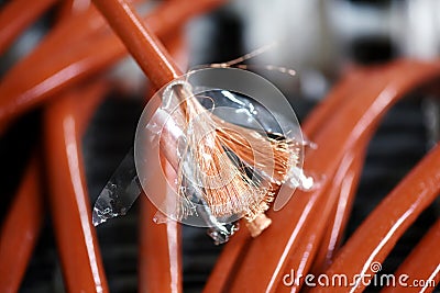 Close up view of copper cable end Stock Photo