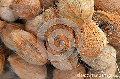 Close up view of a pile of coconuts Stock Photo