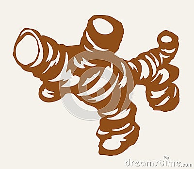 Ginger. Vector drawing food object Vector Illustration