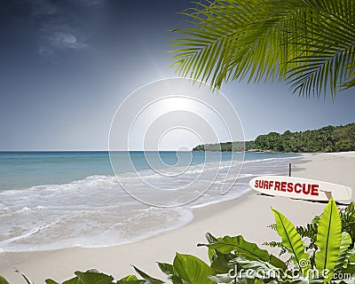 Rescue surf board on tropic beach background Stock Photo