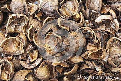 Close up view of shattered walnut shells. Textured background of drought walnut shells Stock Photo