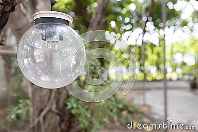 Close up view of single hanging spherical light bulb decor on tree in outdoor party Stock Photo