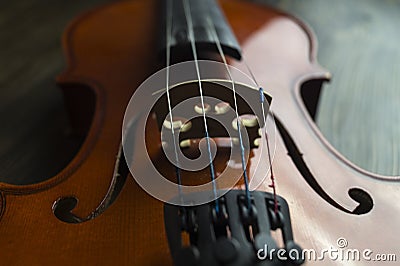 Violin lying on wooden background Stock Photo