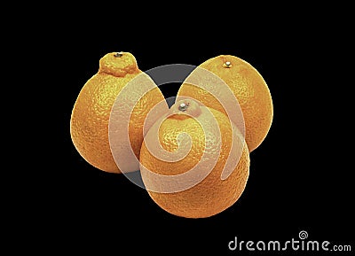 One large orange Stock Photo