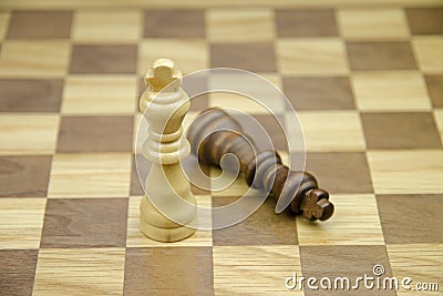 A close-up view of two chess kings Stock Photo