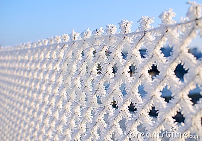 Close-up view of a wire fence with frost with ice crystals under a blue sky with a blurred background Stock Photo