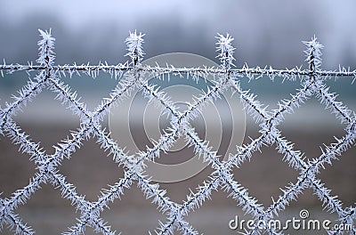 Close-up view of a wire fence with frost with ice crystals under a blue sky with a blurred background Stock Photo